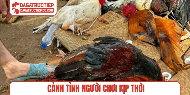Cảnh tỉnh người chơi kịp thời