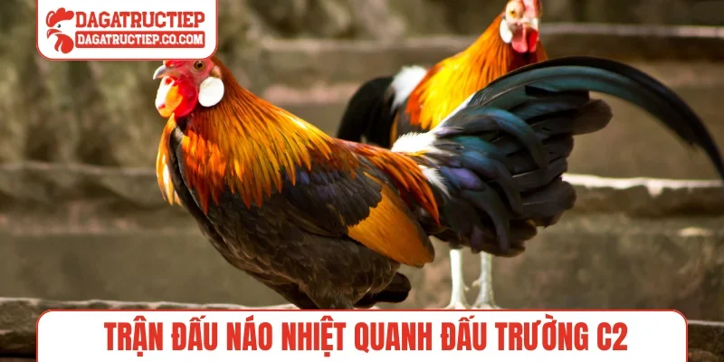 Trận đấu náo nhiệt quanh đấu trường C2